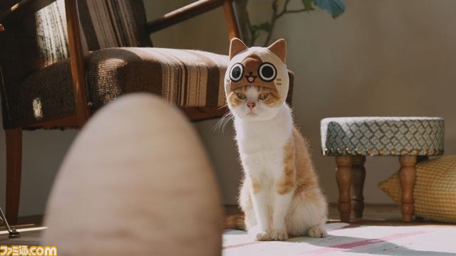 キュートなリアルニャンコが登場！『モンハン日記 ぽかぽかアイルー村DX』のWEB CM“吾輩はアイルーである。”第二話～第六話が一挙公開！！_13