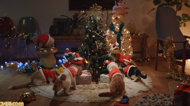 猫好きにはたまらない！　リアルアイルーがサンタに扮するWEB限定CMのクリスマス特別バージョンを公開！【動画あり】_03