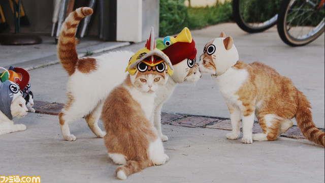猫好きにはたまらない！　リアルアイルーがサンタに扮するWEB限定CMのクリスマス特別バージョンを公開！【動画あり】_04