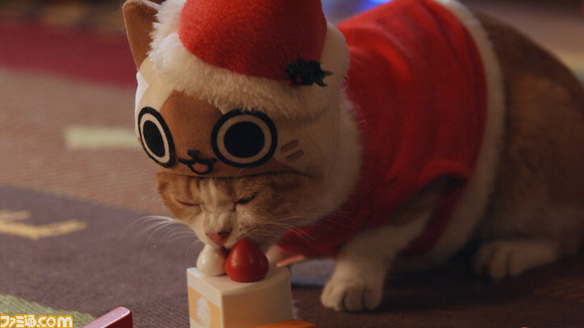 猫好きにはたまらない！　リアルアイルーがサンタに扮するWEB限定CMのクリスマス特別バージョンを公開！【動画あり】_02