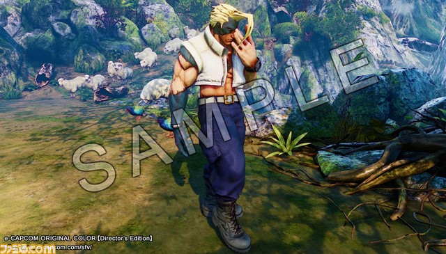 イーカプコン限定版『ストリートファイターV VALUABLE EDITION』全16キャラクター分の限定カラー＆限定称号の詳細が公開_09