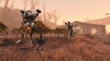 Fallout 4_graygarden