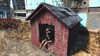 Fallout 4_20151128050050