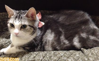 『ネットハイ』本日より2日間限定で特設サイト“クリスマス対策本部”を設営、悪夢のクリスマス期間を乗り切ろう！_04