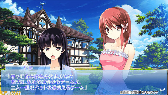 Amazon.co.jp: この大空に、翼をひろげて 初回限定版 : PCソフト