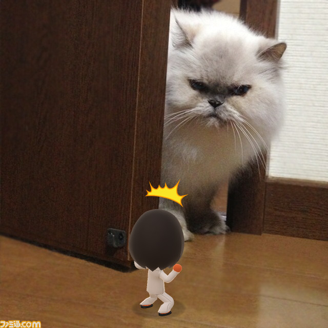任天堂のスマホ向けコミュニケーションアプリ『Miitomo』の事前登録がスタート_13