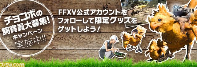 01_キャンペーン