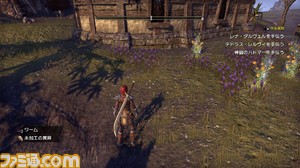 ESO4_15