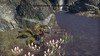 ESO4_11