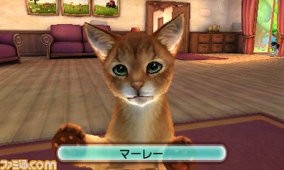 かわいいペットを預かってお世話をする3dsソフト ようこそ ペットホテル が8月3日に配信開始 ファミ通 Com