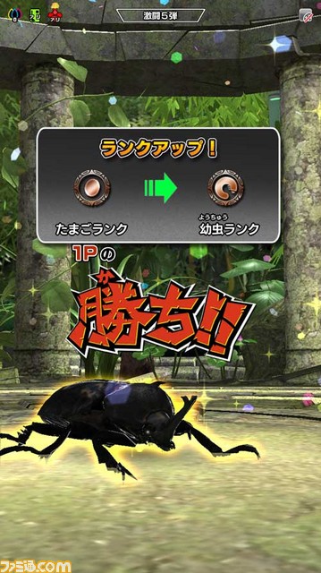 『新甲虫王者ムシキング 激闘5弾』本日（2017年2月23日）より順次稼動開始！　おもな新要素を公開!!_20