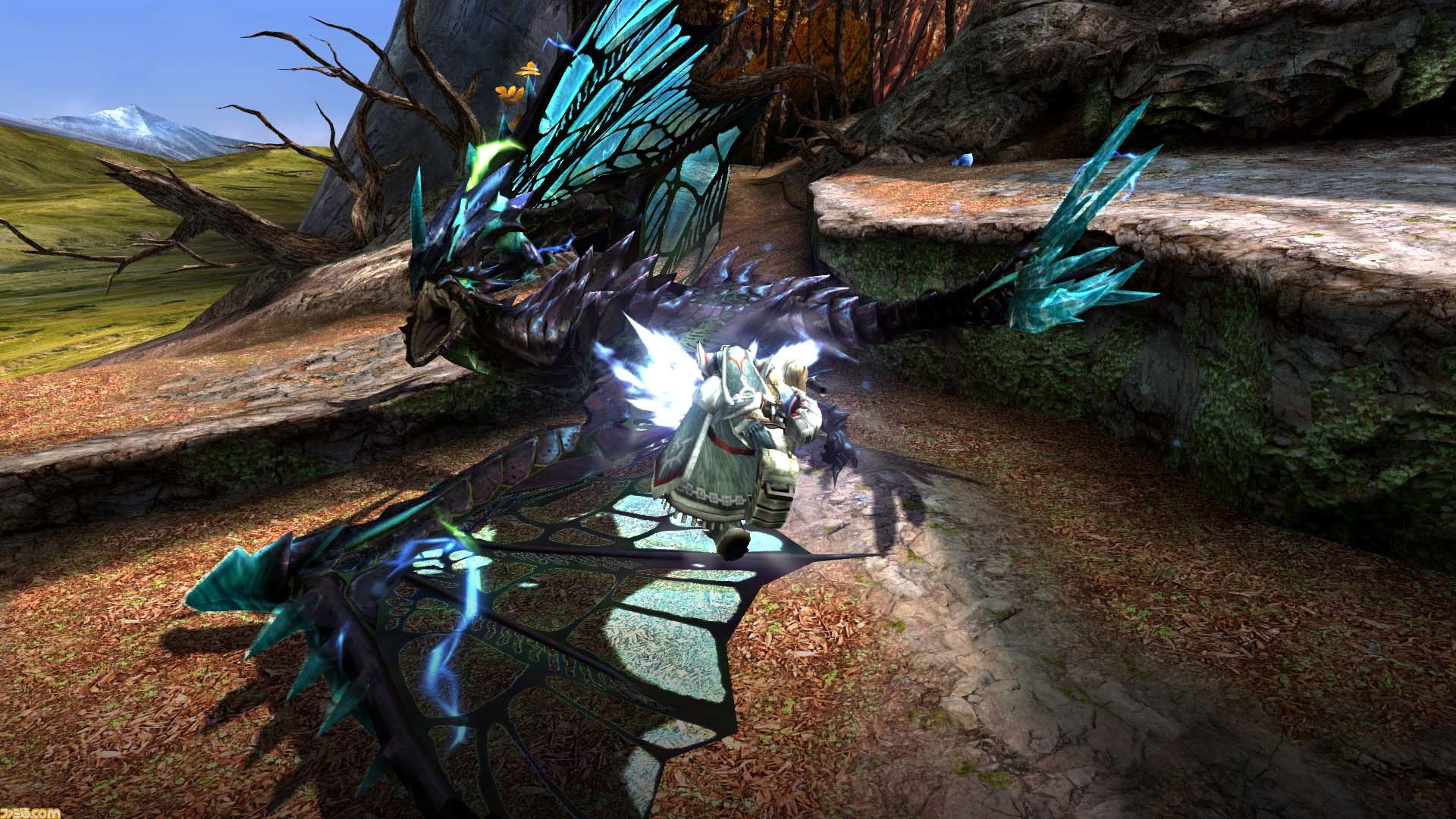 モンスターハンターダブルクロス Nintendo Switch Ver 本作のために