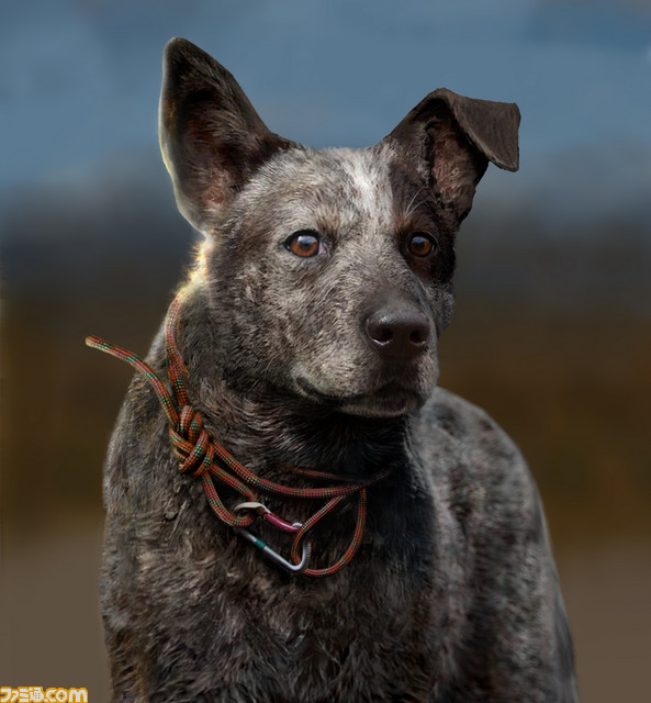 サポーターは、航空機にスナイパーに犬!? 『ファークライ5』プレイリポート【E3 2017】_01