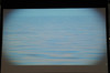 19_IMGP1450