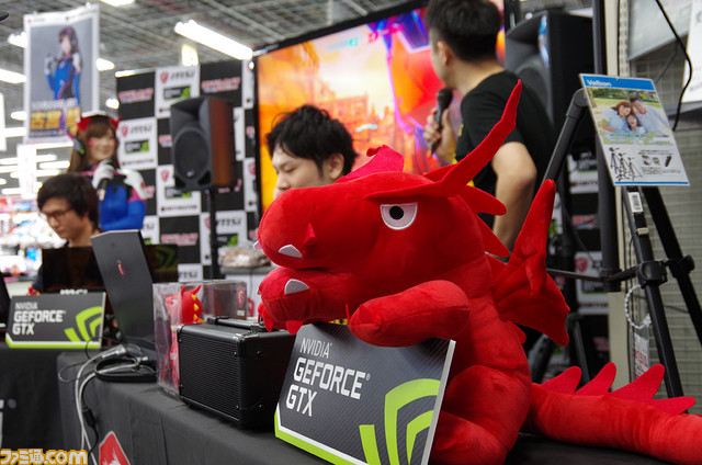 16_IMGP6248