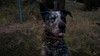 Far Cry® 5_20180409022847