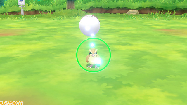 『ポケモン Let’s Go! ピカチュウ・Let’s Go! イーブイ』、『ポケモンGO』、そして2019年の最新作。石原社長に訊く、ポケモンの成長戦略_03
