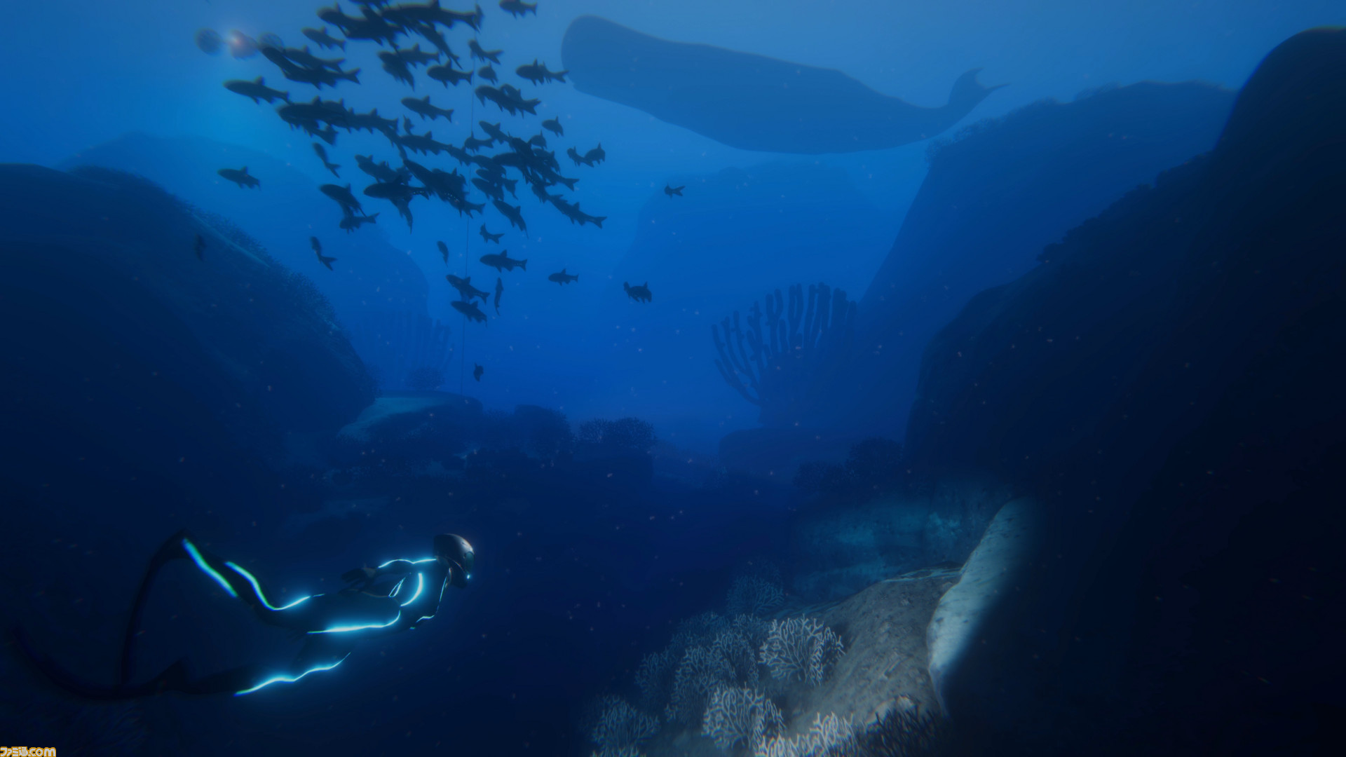 母なる海の神秘を探求する海洋探索アドベンチャー Beyond Blue は 日本語対応も予定 18 ファミ通 Com