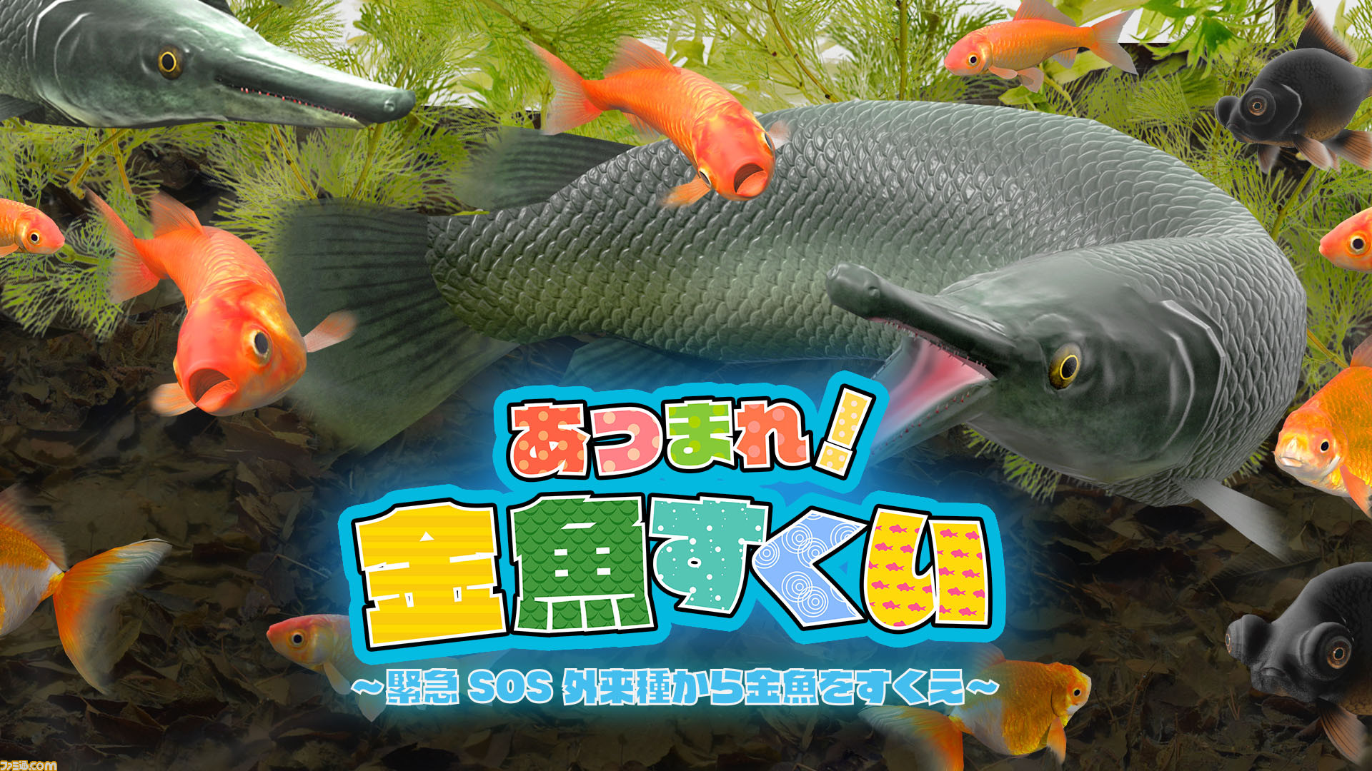 Switch あつまれ 金魚すくい 緊急sos外来種から金魚をすくえ が8月2日に発売 夏の新定番パーティーゲームが登場 ファミ通 Com Switch あつまれ 金魚すくい 緊急sos外来種から金魚をすくえ が8月2日に発売 夏の新定番パーティーゲームが登場 ファミ通 Com