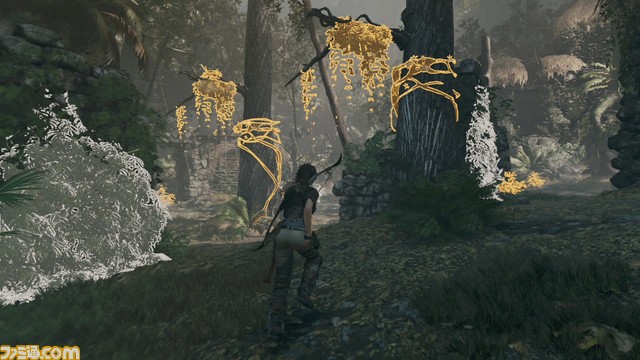 D1