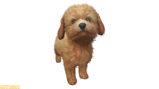 『LITTLE FRIENDS -DOGS & CATS-』子犬や子猫との生活が楽しめる本作の魅力を紹介したPVが公開、あらかじめダウンロードも開始_11