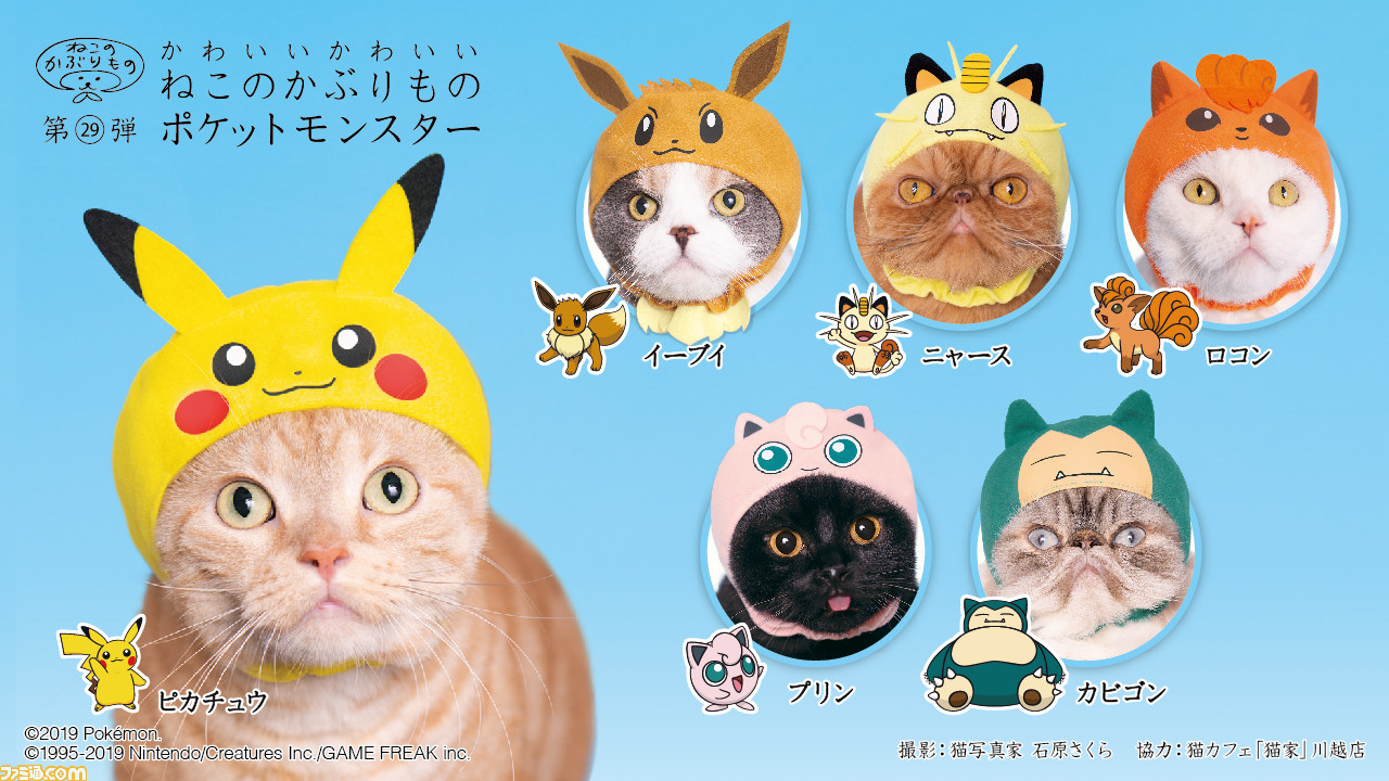 ポケモン ねこのかぶりもの がカプセルトイに登場 ピカチュウ イーブイ ニャースなど6種類がラインアップ ファミ通 Com