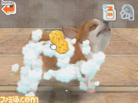 01_01_nintendogs_下画面