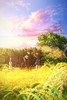 【ブログ】akinakiのJust Watched：山本寛監督『薄暮』が示す福島県いわき市の情景と情感、そして現代ファンタジーとしての「青春賛歌」