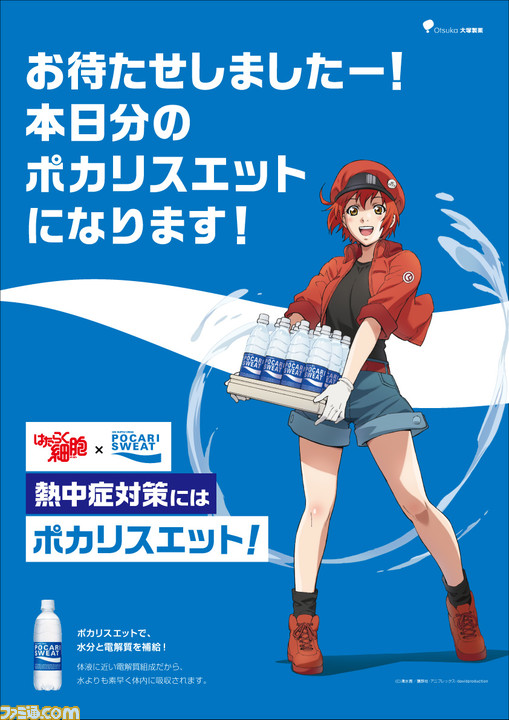 細胞 赤血球 はたらく