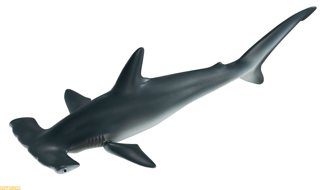 鮫 ホホジロザメ や シュモクザメ の可動フィギュアが登場 アゴとヒレが動かせる シャチもいる ファミ通 Com