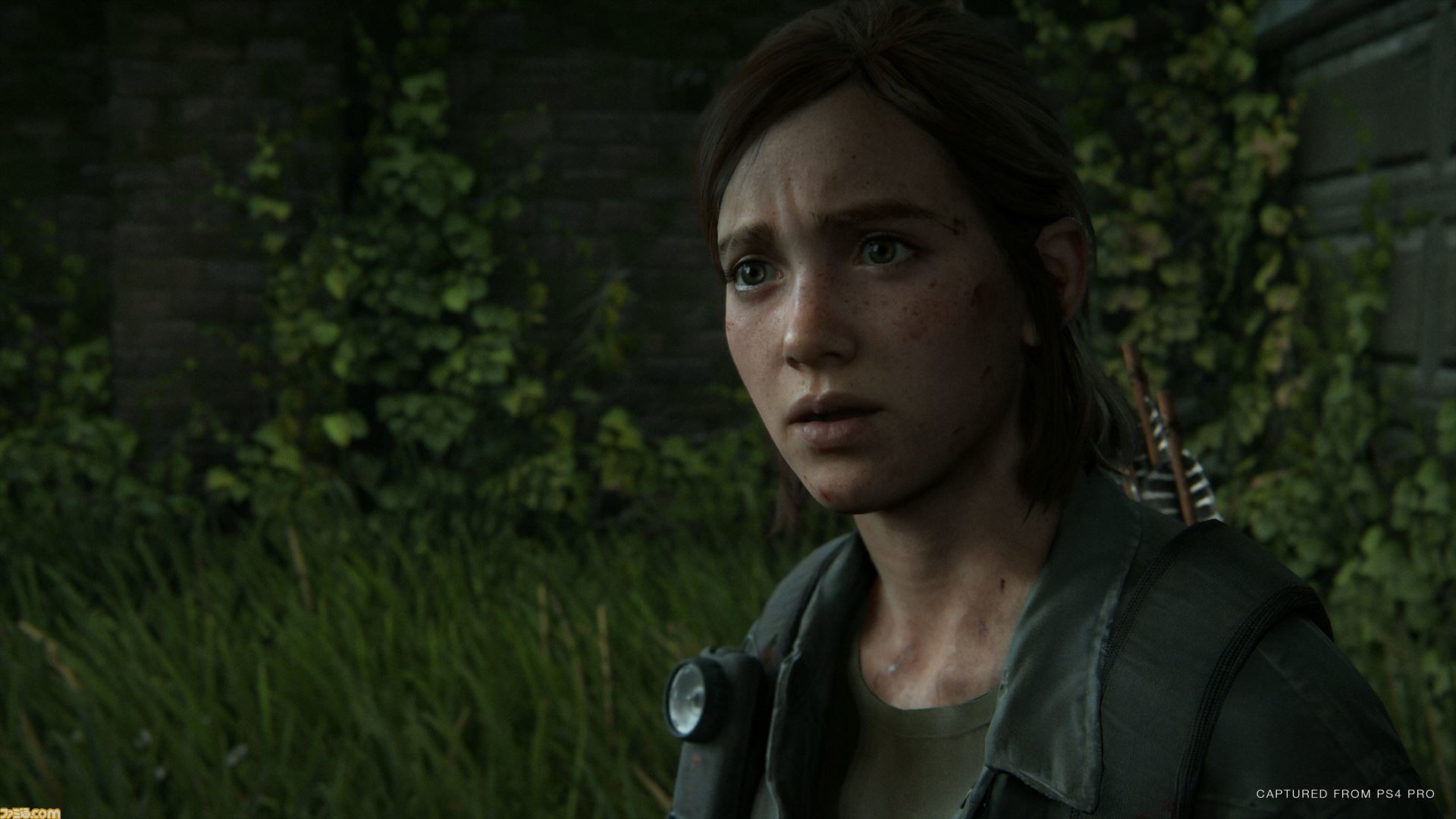 The Last Of Us Part Ii 日本語版の発売日アナウンストレーラーが公開 ファミ通 Com The Last Of Us Part Ii 日本語版の発売日アナウンストレーラーが公開 ファミ通 Com
