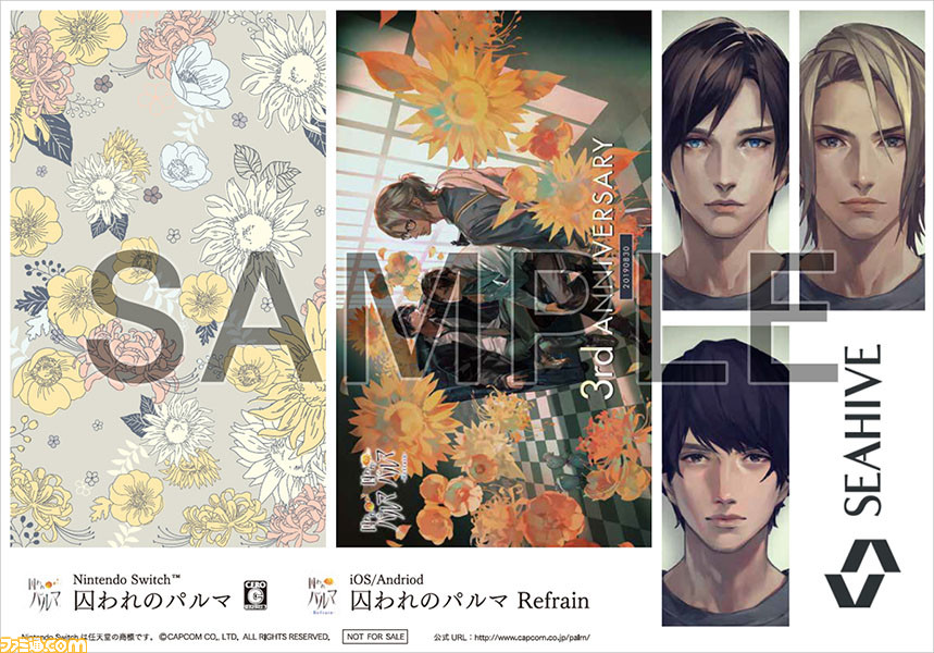 Nintendo Switch版『囚われのパルマ Refrain』パッケージ版購入