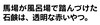 20010204