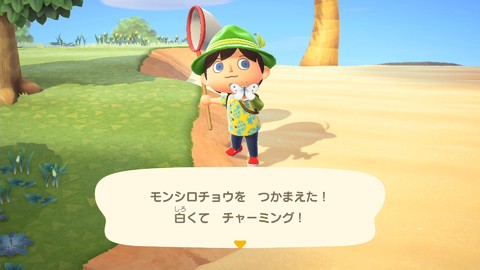 あつ森 公式がマイデザインを公開 たぬきちのtシャツと旗を受け取ろう あつまれ どうぶつの森 ファミ通 Com あつ森 公式がマイデザインを公開 たぬきちのtシャツと旗を受け取ろう あつまれ どうぶつの森 ファミ通 Com