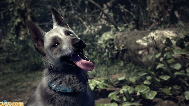 『ブレア・ウィッチ 日本語版』PS4&Nintendo Switchで2020年夏に発売決定!_14