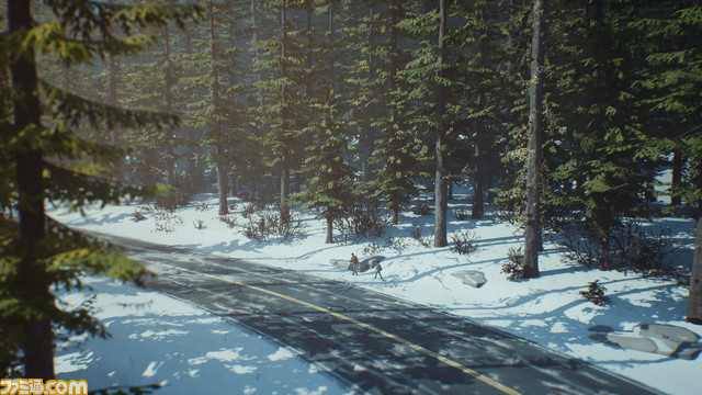 LiS2_EP2_SC_01_forest