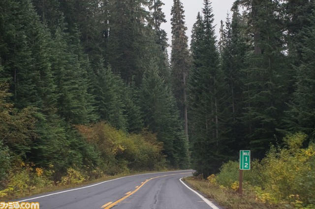 IMGP0495