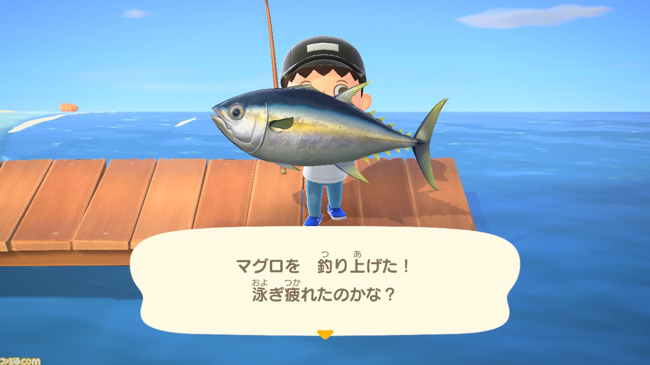 ランキング 値段 あつ 森魚