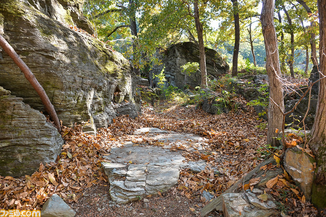 『Outward』のサバイバル生活をNo密で濃密に体験するメディアツアーの模様をリポート。狩り、火起こし、採集、そしてゲームプレイ、締めはBBQ