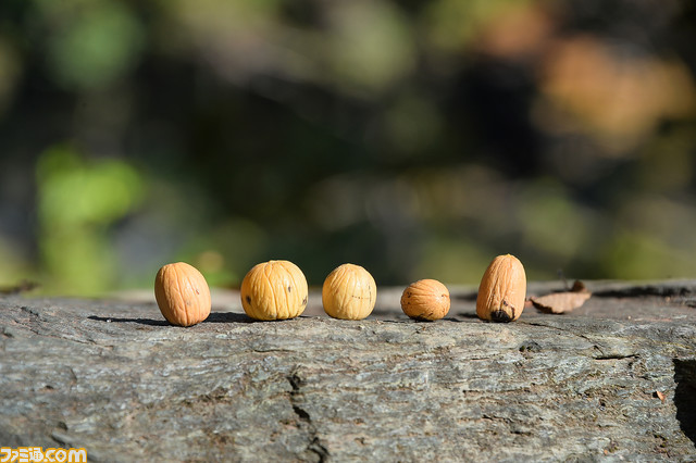 『Outward』のサバイバル生活をNo密で濃密に体験するメディアツアーの模様をリポート。狩り、火起こし、採集、そしてゲームプレイ、締めはBBQ