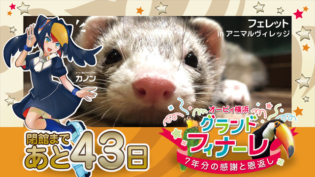 “オービィ横浜 グランドフィナーレ~7年分の感謝と恩返し~”