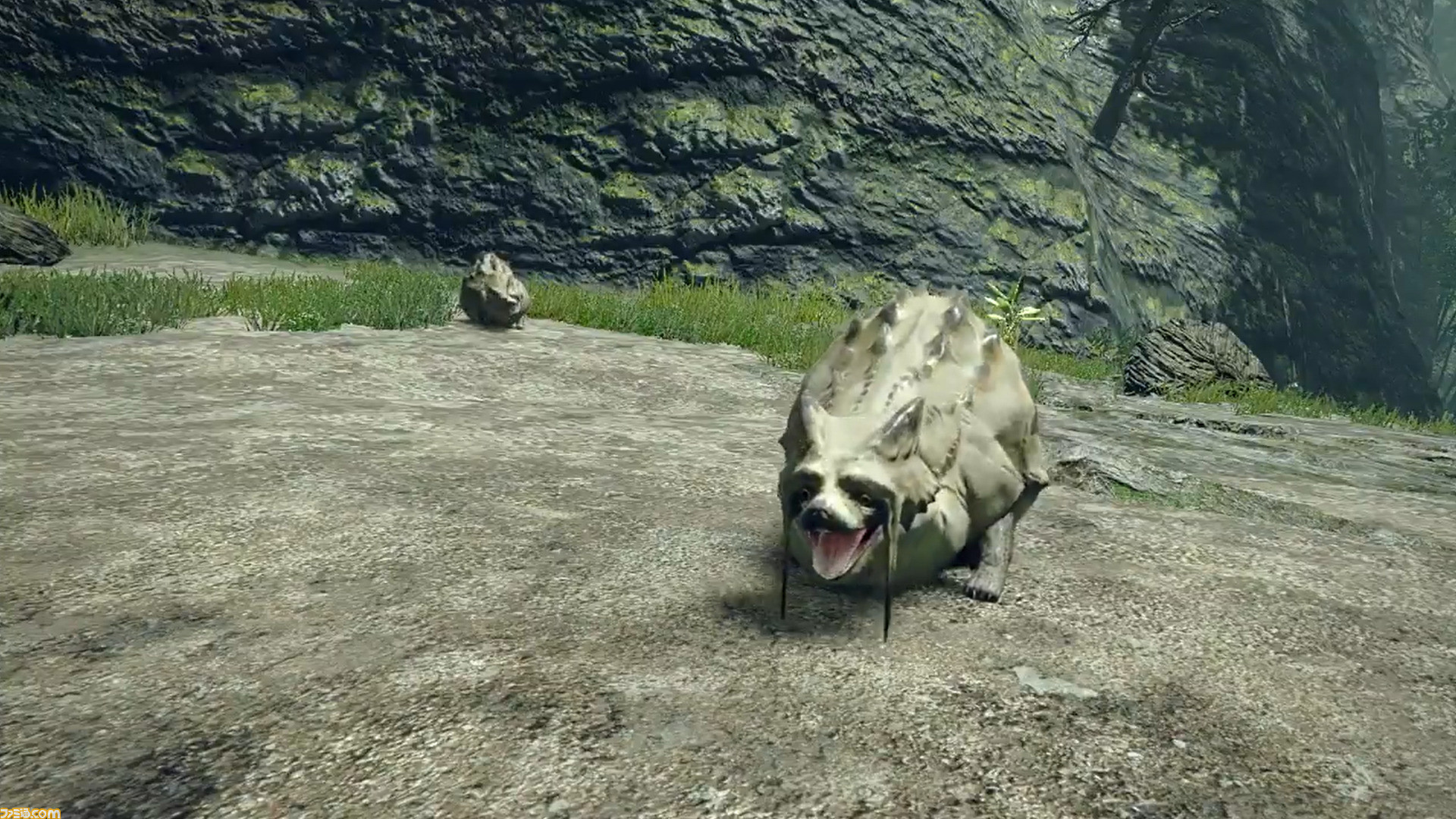 モンスターハンターライズ タヌキに似たかわいらしい生物 ブンブジナ にスポットを当てた 映像見聞録15 が公開 ゲーム エンタメ最新情報のファミ通 Com