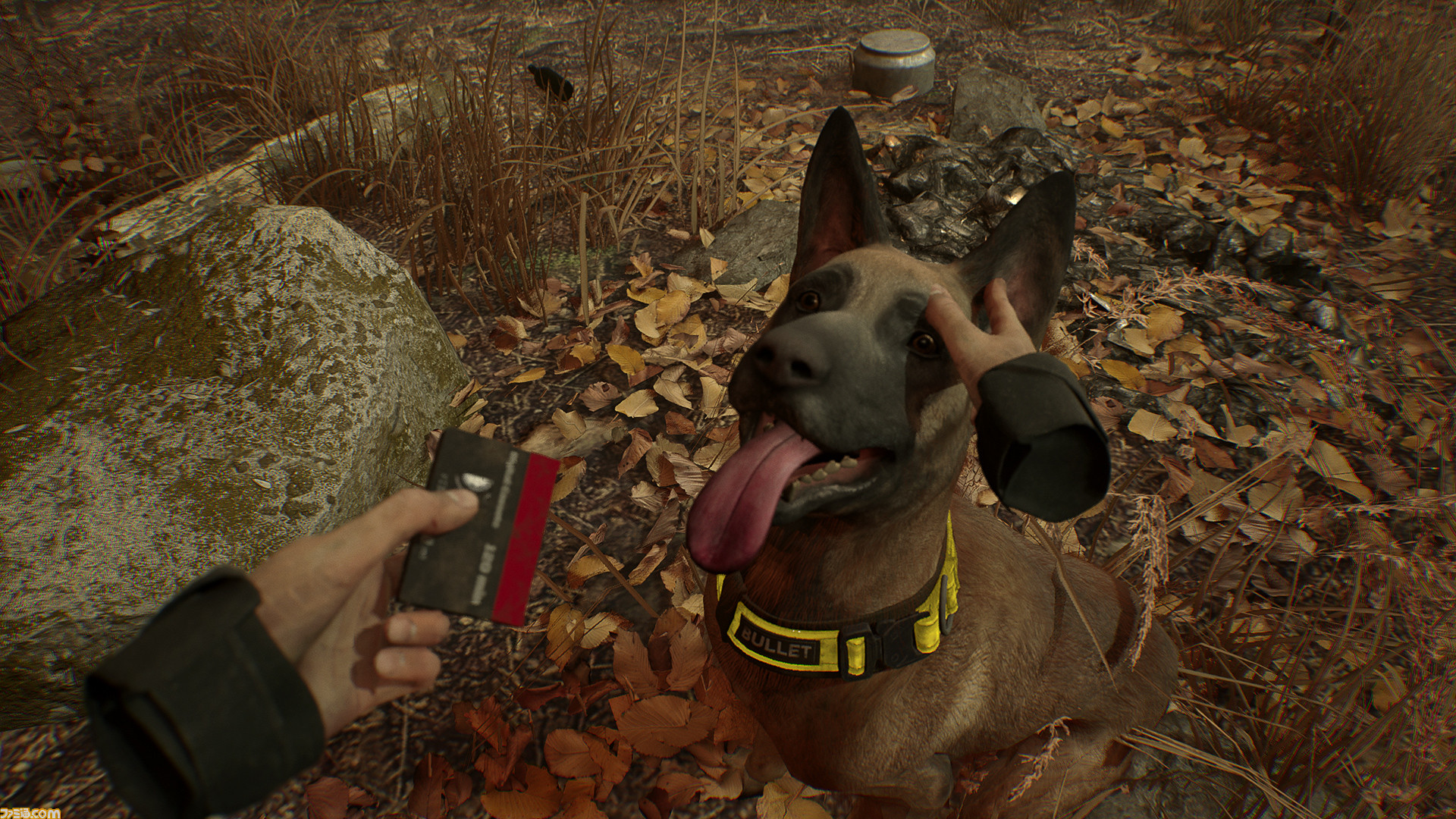 ホラーゲーム ブレア ウィッチ Vr版のoculus Rift対応版が配信開始 Touchコントローラーで忠犬ブレットを撫でられる ゲーム エンタメ最新情報のファミ通 Com