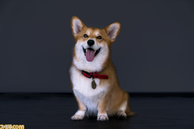 実写版『カウボーイビバップ』本編映像&キーアートが公開。SFシーンや疾走感みなぎるアクションシーンに注目!