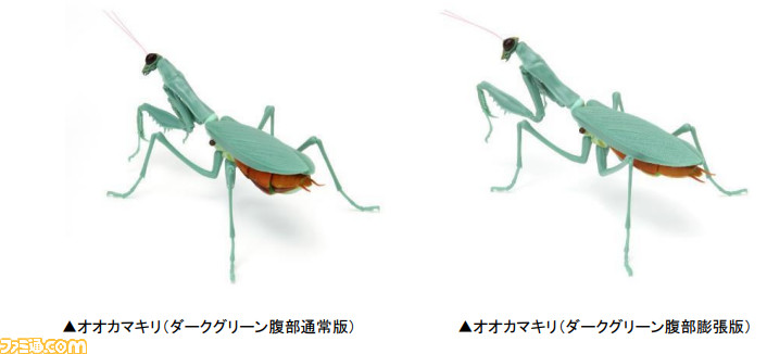 超リアルなカマキリのガシャポンが発売 X線を使用した産業用ctスキャンでカマキリの体の構造を再現 なぜそこまでする ゲーム エンタメ最新情報のファミ通 Com