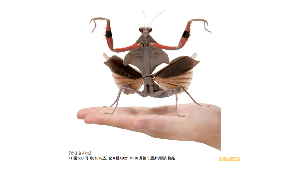 超リアルなカマキリのガシャポンが発売 X線を使用した産業用ctスキャンでカマキリの体の構造を再現 なぜそこまでする ゲーム エンタメ最新情報のファミ通 Com