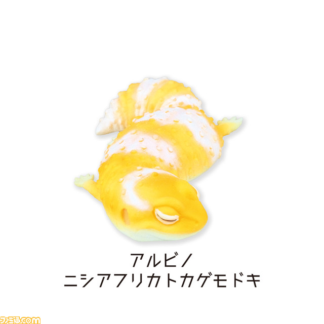 爬虫類の寝ている姿を再現したフィギュアカプセルトイが発売！ ラインアップはニシアフリカトカゲモドキ3匹とフトアゴヒゲトカゲ3匹の計6種