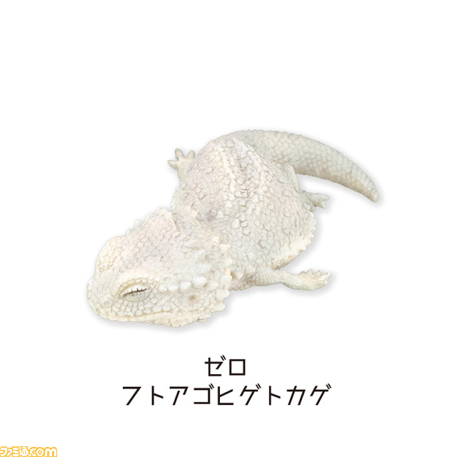 爬虫類の寝ている姿を再現したフィギュアカプセルトイが発売！ ラインアップはニシアフリカトカゲモドキ3匹とフトアゴヒゲトカゲ3匹の計6種