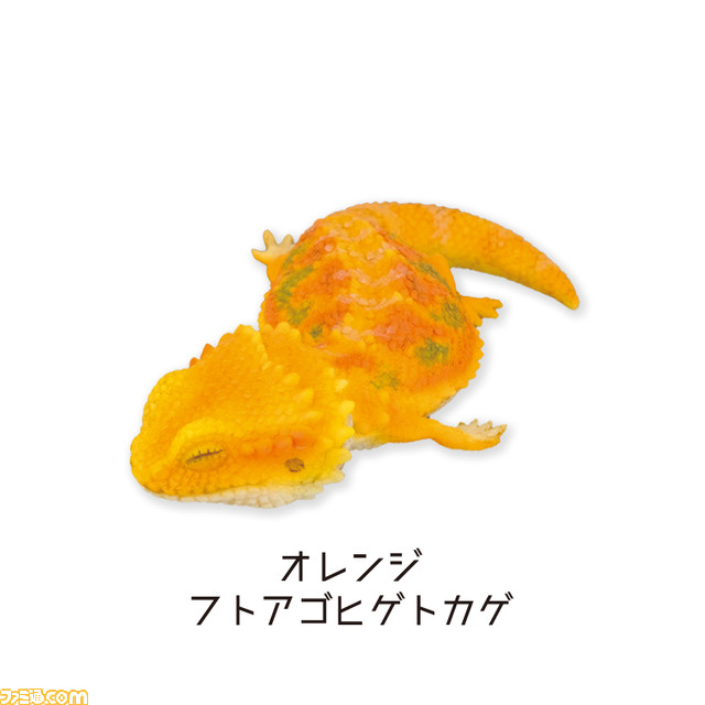 爬虫類の寝ている姿を再現したフィギュアカプセルトイが発売！ ラインアップはニシアフリカトカゲモドキ3匹とフトアゴヒゲトカゲ3匹の計6種