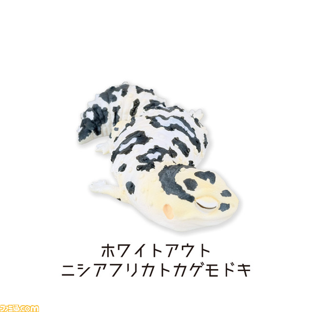爬虫類の寝ている姿を再現したフィギュアカプセルトイが発売！ ラインアップはニシアフリカトカゲモドキ3匹とフトアゴヒゲトカゲ3匹の計6種